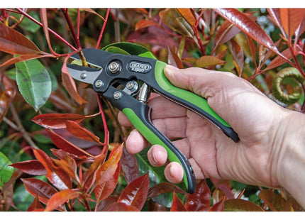 Draper Anvil Pattern Secateurs, 200mm 94983 Draper - Town Tools