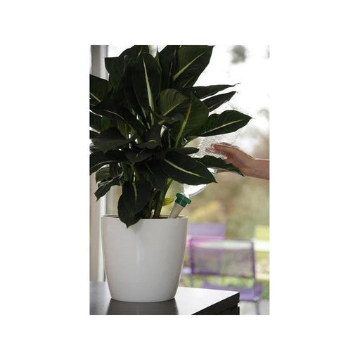 Hozelock 2717 Green Aquasolo Watering Cone for Medium 16in Pots (Pack 4) Hozelock - RockBottom Northampton