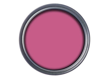 Ronseal Garden Paint Pink Jasmine 750ml Ronseal - RockBottom Nothampton