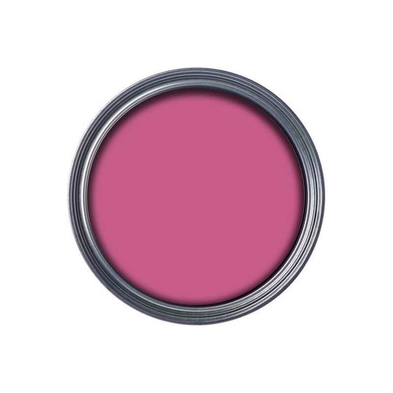 Ronseal Garden Paint Pink Jasmine 750ml Ronseal - RockBottom Nothampton