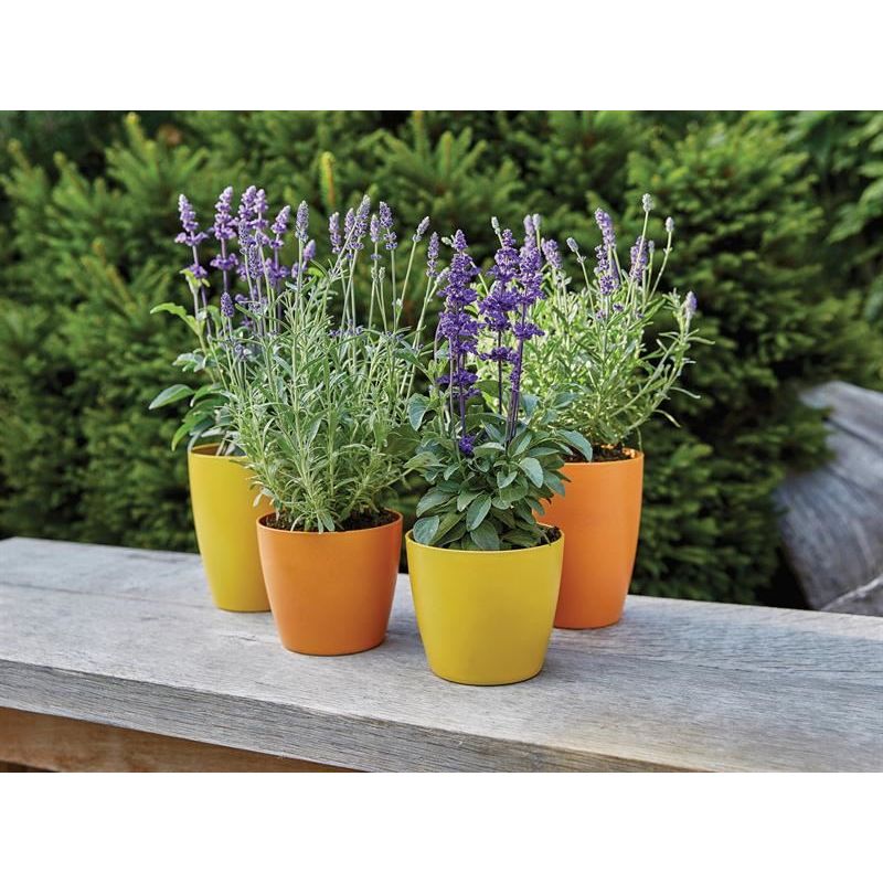 Ronseal Garden Paint Sundial 750ml Ronseal - RockBottom Nothampton