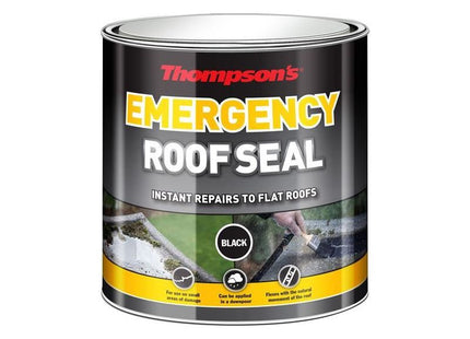 Ronseal Thompson's Emergency Roof Seal 2.5 litre Ronseal - RockBottom Nothampton