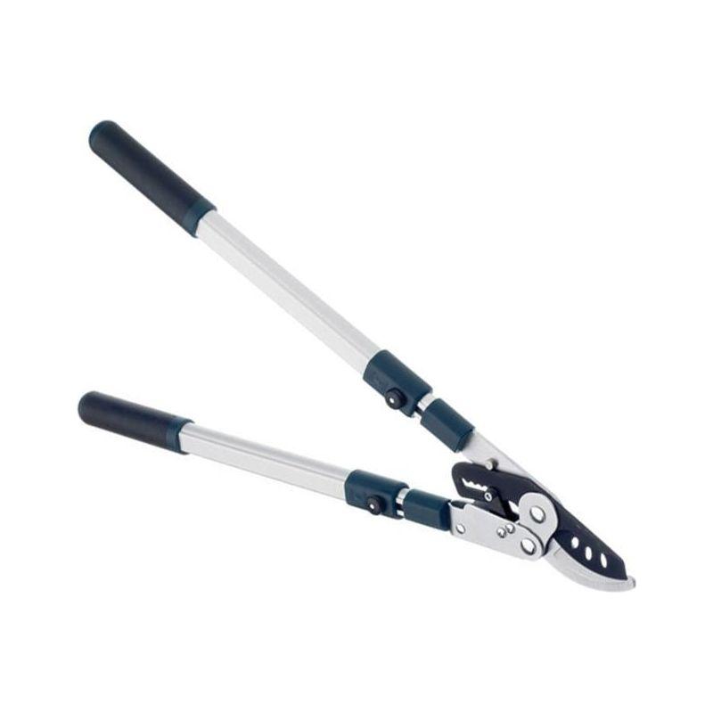 Bulldog BD3113TW Evergreen Extending Bypass Loppers Bulldog - RockBottom Northampton