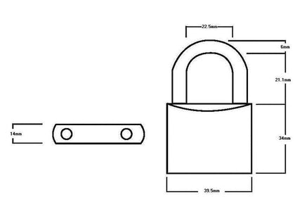 Squire LN4T Lion Brass Padlocks 5-Pin 40mm Twin Pack (2 x LN4KA) Squire - RockBottom Nothampton