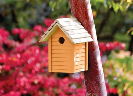 Ronseal Garden Paint Sunburst 250ml Ronseal - RockBottom Nothampton