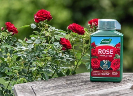 Westland Rose High Performance Liquid Plant Food 1 litre Westland - RockBottom Northampton