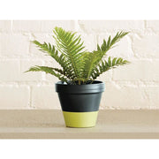 Ronseal Garden Paint Lime Zest 750ml Ronseal - RockBottom Nothampton