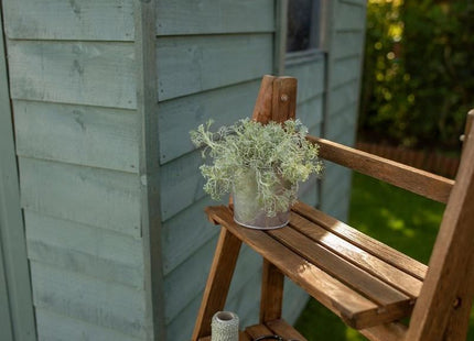 Ronseal Fence Life Plus+ Sage 5 litre Ronseal - RockBottom Nothampton