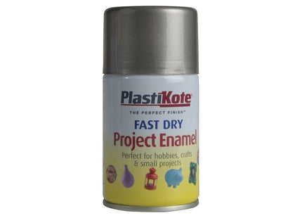Plastikote Fast Dry Enamel Aerosol Pewter 100ml PlastiKote - RockBottom Nothampton