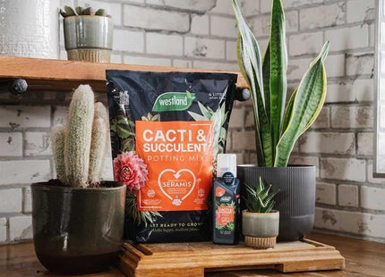 Westland Cacti & Succulent Potting Mix 4 litre Westland - RockBottom Northampton
