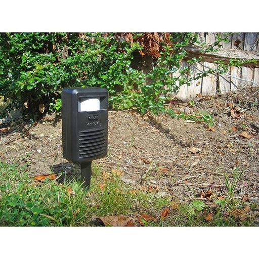 Rentokil Cat & Fox Deterrent Rentokil - RockBottom Nothampton