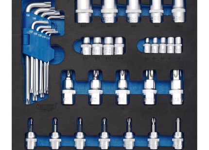 Draper TX-STAR Screwdriver Insert Bits and Keys in 1/2 Drawer EVA Insert Tray (3 Draper - Town Tools 