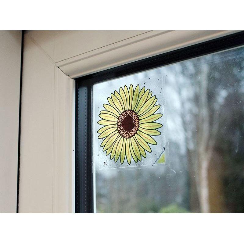 Rentokil Advanced Window Fly Traps (Pack 4) Rentokil - RockBottom Nothampton