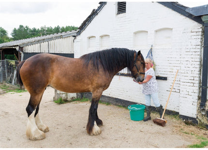 Draper Yard Broom, 330mm Draper - Town Tools