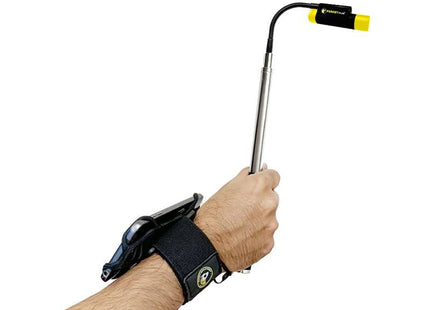 FERRET Ferret Wristband FERRET - RockBottom Northampton