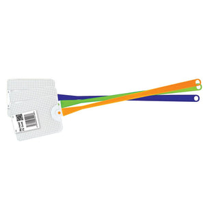 Big Head Fly Squatter