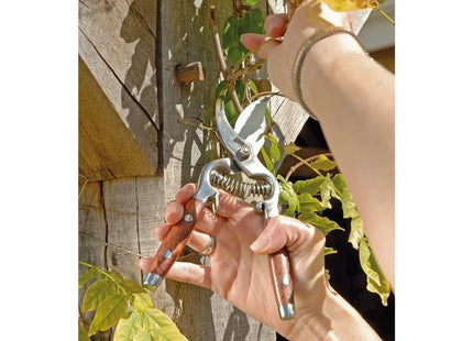 Draper Bypass Pattern Secateurs with Wooden Handles, 210mm 45317 Draper - Town Tools 