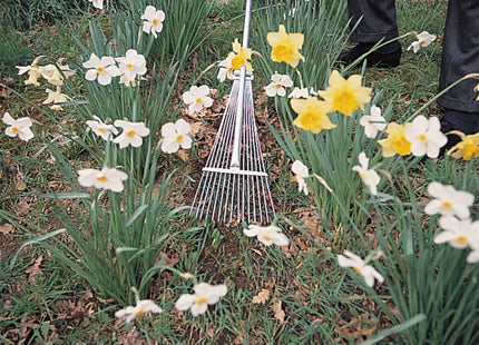 Draper Adjustable Lawn Rake, 190 - 570mm Draper - Town Tools