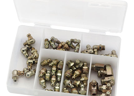 Draper 50 Assorted BSPT Grease Nipples 43961 Draper - Town Tools 