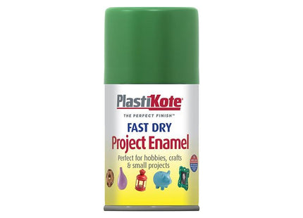 Plastikote Fast Dry Enamel Aerosol Garden Green 100ml PlastiKote - RockBottom Nothampton