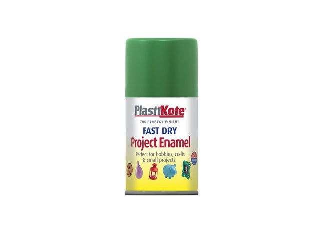 Plastikote Fast Dry Enamel Aerosol Garden Green 100ml PlastiKote - RockBottom Nothampton