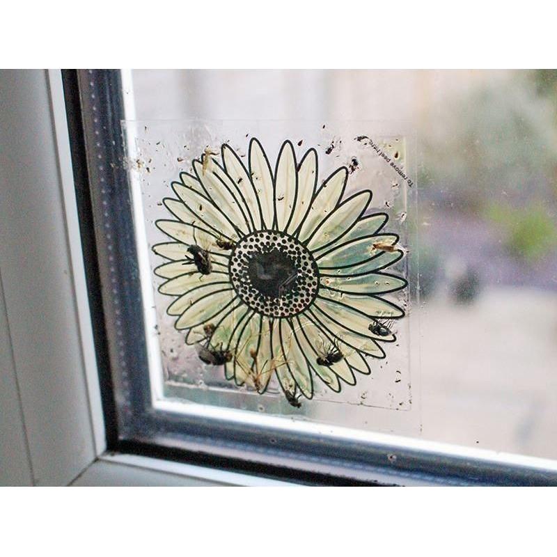 Rentokil Advanced Window Fly Traps (Pack 4) Rentokil - RockBottom Nothampton