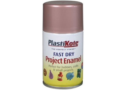 Plastikote Fast Dry Enamel Aerosol Rose Gold 100ml PlastiKote - RockBottom Nothampton
