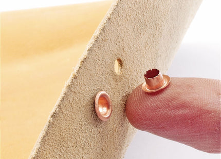 Draper Interchangeable Hole Punch and Eyelet Pliers, 210mm 31096 Draper - Town Tools 