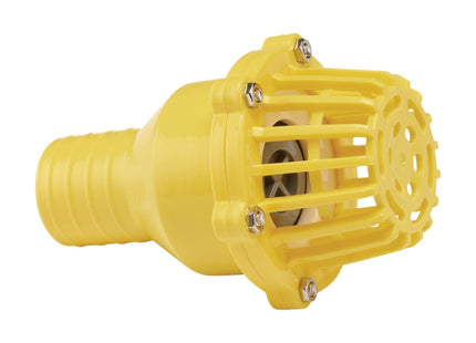 Draper Foot Valve Strainer, 50mm/2" 19548 Draper - Town Tools 