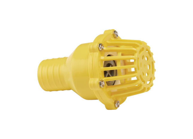 Draper Foot Valve Strainer, 50mm/2" 19548 Draper - Town Tools 