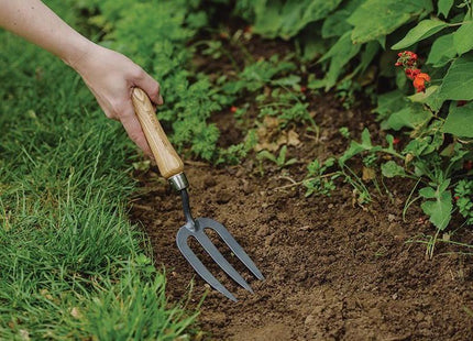 Kent & Stowe Carbon Steel Hand Fork, FSC® Kent & Stowe - RockBottom Northampton