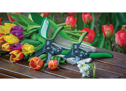 Draper Bypass Pattern Secateurs, 200mm 94982 Draper - Town Tools 