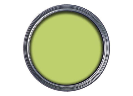 Ronseal Garden Paint Lime Zest 750ml Ronseal - RockBottom Nothampton