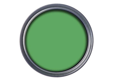 Ronseal Garden Paint Clover 250ml Ronseal - RockBottom Nothampton