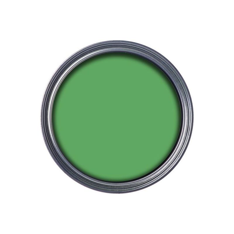 Ronseal Garden Paint Clover 250ml Ronseal - RockBottom Nothampton