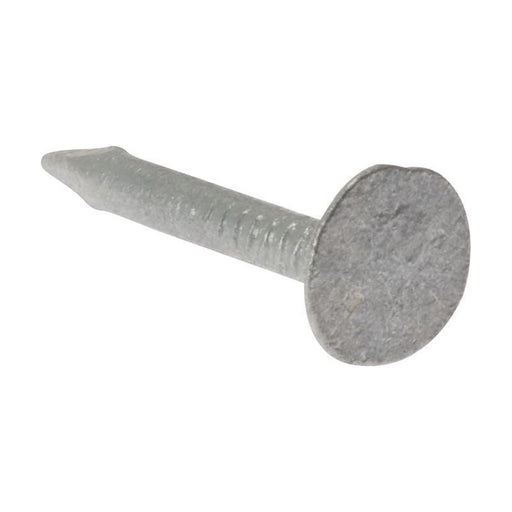 Forgefix Clout Nail Extra Large Head Galvanised 30mm (500g Bag) ForgeFix - RockBottom Northampton