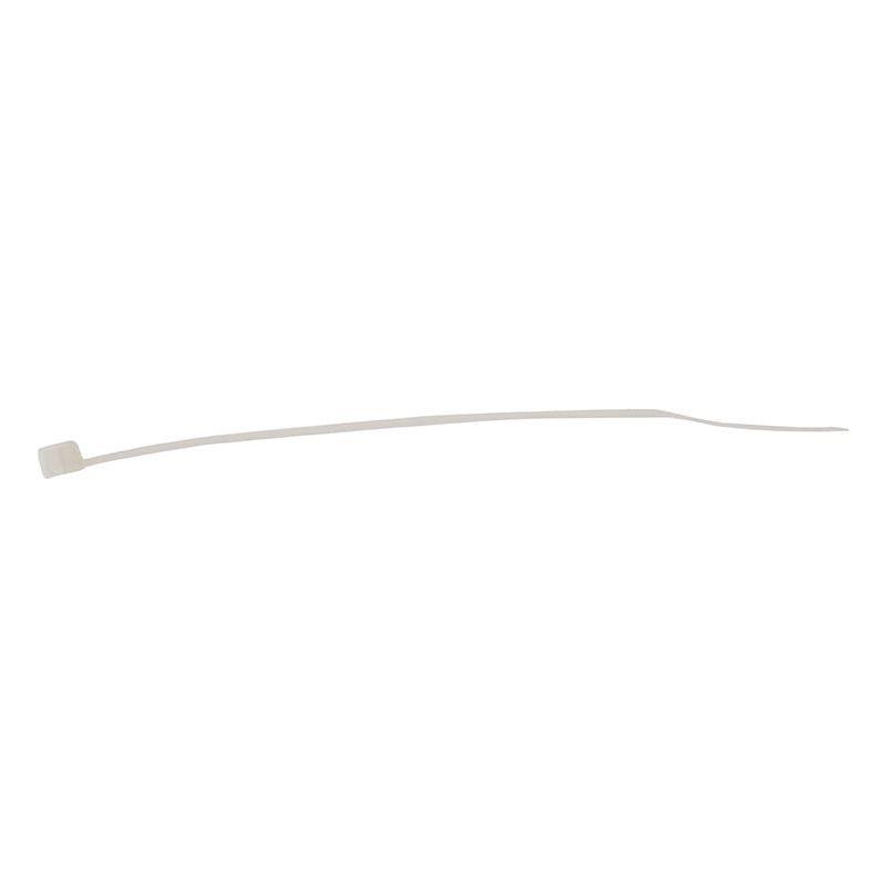 Forgefix Cable Tie Natural/Clear 2.5 x 100mm (Bag 100) ForgeFix - RockBottom Northampton