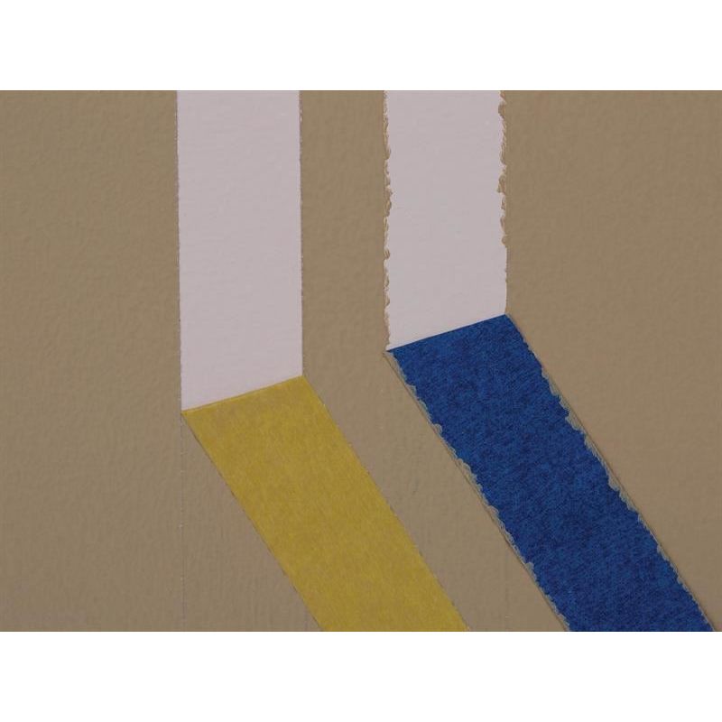 Shurtape FrogTape® Delicate Surface Masking Tape 24mm x 41.1m Shurtape - RockBottom Nothampton