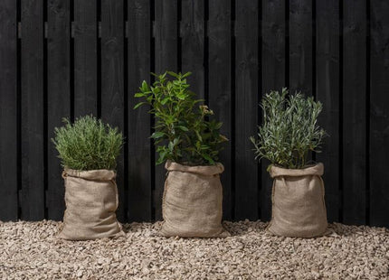 Ronseal Fence Life Plus+ Tudor Black Oak 5 litre Ronseal - RockBottom Nothampton