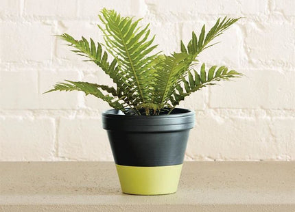 Ronseal Garden Paint Lime Zest 250ml Ronseal - RockBottom Nothampton