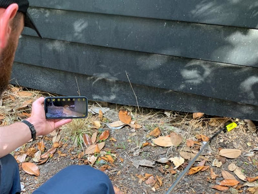 FERRET Ferret Stick Mini FERRET - RockBottom Northampton