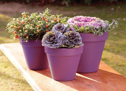 Ronseal Garden Paint Purple Berry 250ml Ronseal - RockBottom Nothampton