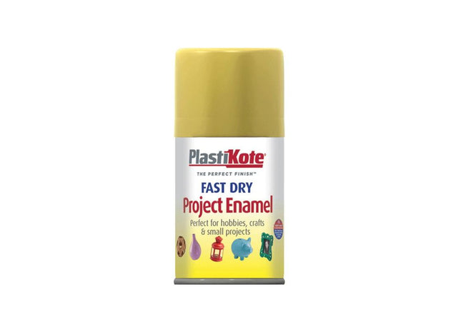 Plastikote Fast Dry Enamel Aerosol Gold Leaf 100ml PlastiKote - RockBottom Nothampton