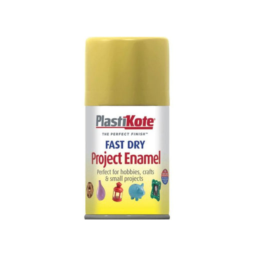 Plastikote Fast Dry Enamel Aerosol Gold Leaf 100ml PlastiKote - RockBottom Nothampton