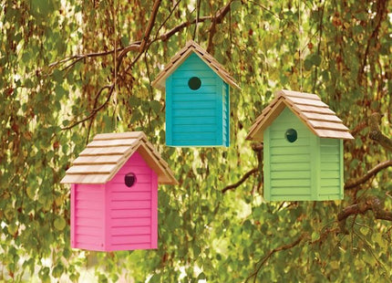 Ronseal Garden Paint Pink Jasmine 250ml Ronseal - RockBottom Nothampton