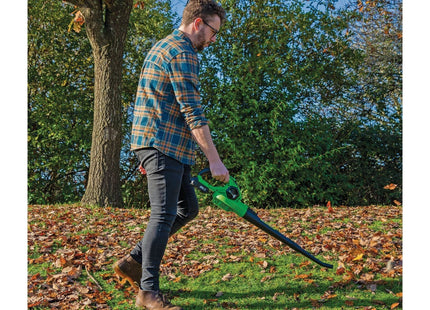 Draper D20 20V Leaf Blower, 1 x 2.0Ah Battery, 1 x Charger 70526 Draper - Town Tools 