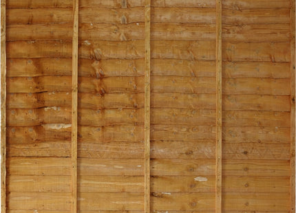 Tafs Lap Panel 6F x 4FT  Autum gold