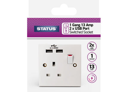 Status 1 Gang 13 Amp 2 USB Charging Port