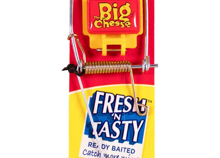 Fresh Baited Mouse Trap