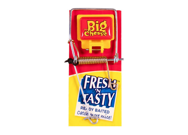 Fresh Baited Mouse Trap